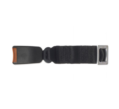 Plug-In Adult Buckle